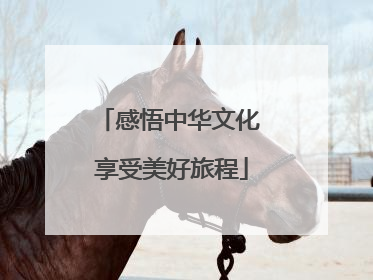 感悟中华文化 享受美好旅程