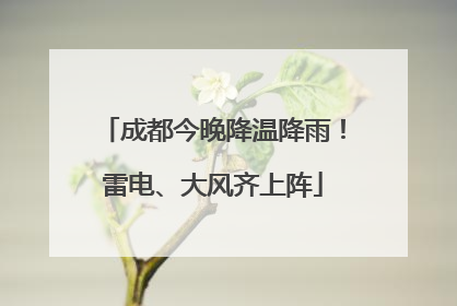 成都今晚降温降雨！雷电、大风齐上阵