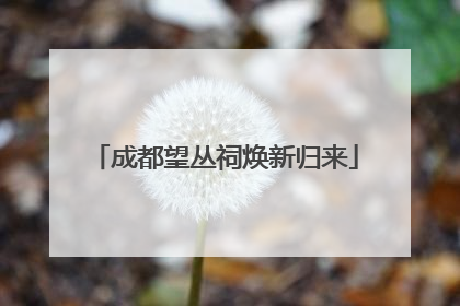 成都望丛祠焕新归来