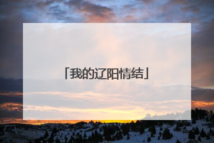 我的辽阳情结