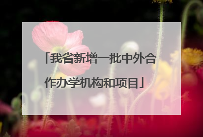 我省新增一批中外合作办学机构和项目