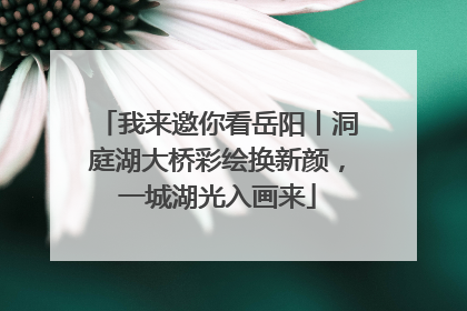 我来邀你看岳阳丨洞庭湖大桥彩绘换新颜，一城湖光入画来