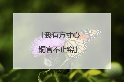 我有方寸心 铜官不止窑