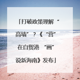 打破政策理解“高墙”？《“营”在自贸港 “画”说新海南》发布