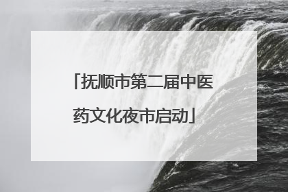 抚顺市第二届中医药文化夜市启动