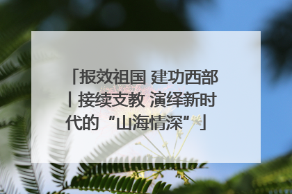 报效祖国 建功西部丨接续支教 演绎新时代的“山海情深”