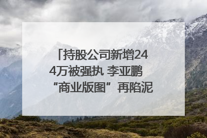 持股公司新增244万被强执 李亚鹏“商业版图”再陷泥潭？｜科技观察
