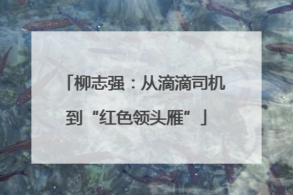 柳志强：从滴滴司机到“红色领头雁”