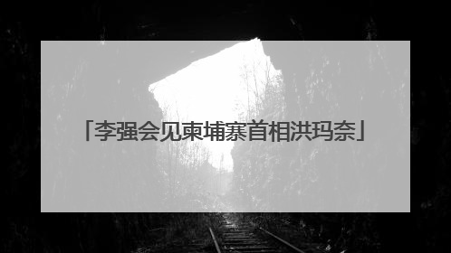 李强会见柬埔寨首相洪玛奈