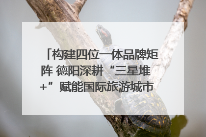 构建四位一体品牌矩阵 德阳深耕“三星堆+”赋能国际旅游城市建设｜文旅局长说