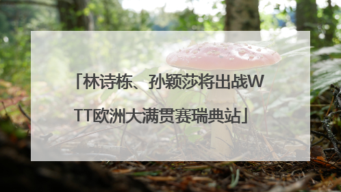 林诗栋、孙颖莎将出战WTT欧洲大满贯赛瑞典站