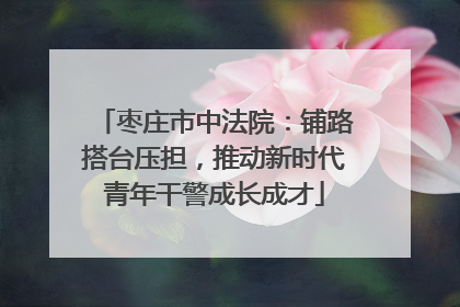 枣庄市中法院：铺路搭台压担，推动新时代青年干警成长成才