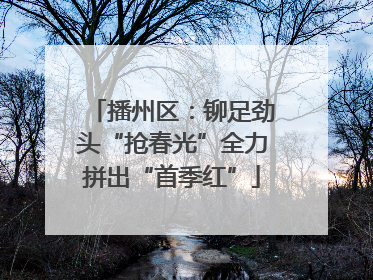播州区：铆足劲头“抢春光”全力拼出“首季红”