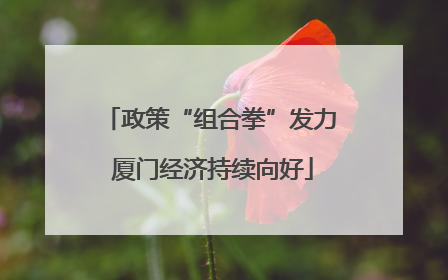 政策“组合拳”发力 厦门经济持续向好