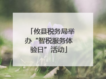 攸县税务局举办“智税服务体验日”活动