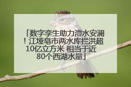 数字孪生助力澧水安澜！江垭皂市两水库拦洪超10亿立方米 相当于近80个西湖水量