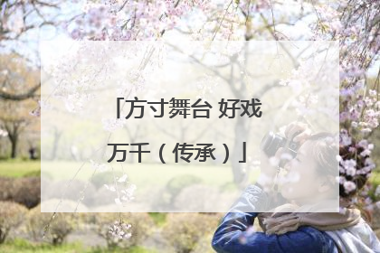 方寸舞台 好戏万千（传承）