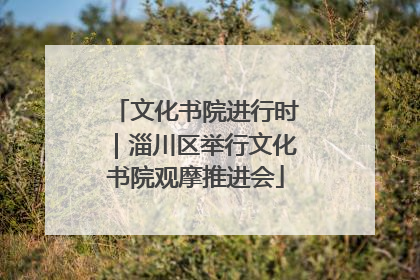 文化书院进行时｜淄川区举行文化书院观摩推进会