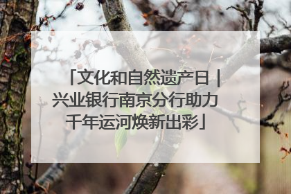 文化和自然遗产日｜兴业银行南京分行助力千年运河焕新出彩