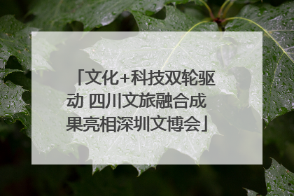 文化+科技双轮驱动 四川文旅融合成果亮相深圳文博会