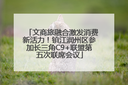 文商旅融合激发消费新活力！镇江润州区参加长三角C9+联盟第五次联席会议