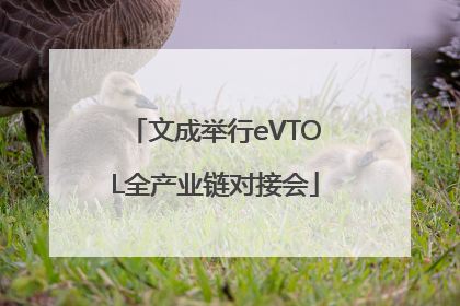 文成举行eVTOL全产业链对接会
