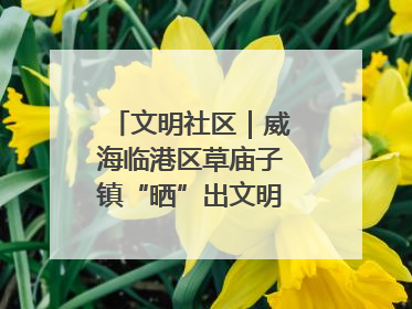 文明社区｜威海临港区草庙子镇“晒”出文明幸福新密码