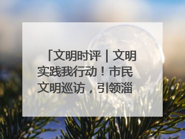 文明时评｜文明实践我行动！市民文明巡访，引领淄博全民志愿