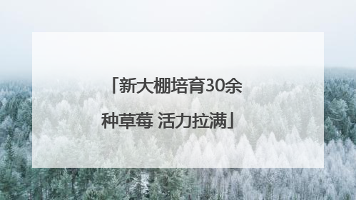 新大棚培育30余种草莓 活力拉满