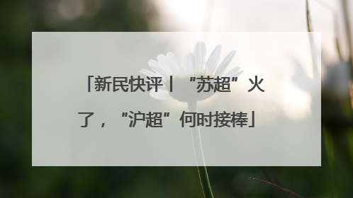 新民快评丨“苏超”火了，“沪超”何时接棒