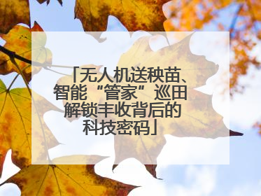 无人机送秧苗、智能“管家”巡田 解锁丰收背后的科技密码