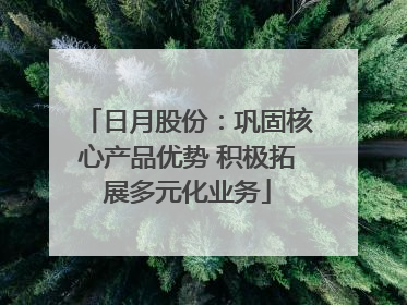 日月股份：巩固核心产品优势 积极拓展多元化业务