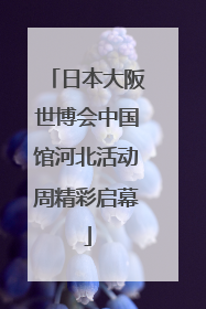 日本大阪世博会中国馆河北活动周精彩启幕