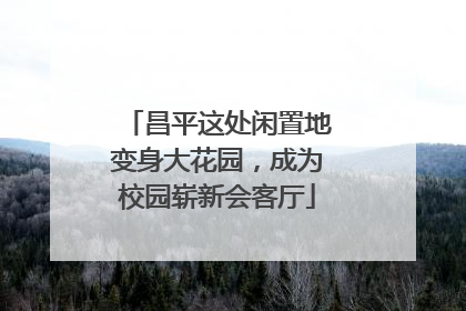 昌平这处闲置地变身大花园，成为校园崭新会客厅