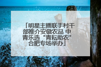 明星主播联手村干部推介安徽农品 中青乐选“青耘助农”合肥专场举办