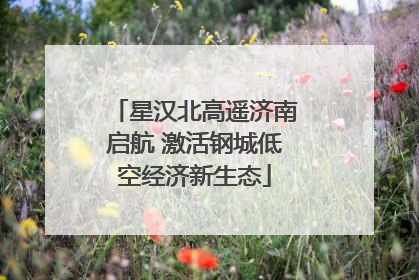 星汉北高遥济南启航 激活钢城低空经济新生态