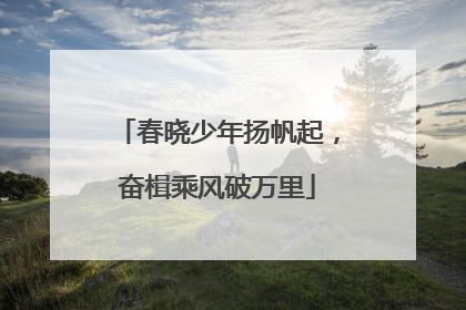 春晓少年扬帆起，奋楫乘风破万里