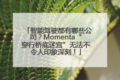 智能驾驶都有哪些公司？Momenta“穿行桥底迷宫”无法不令人印象深刻！