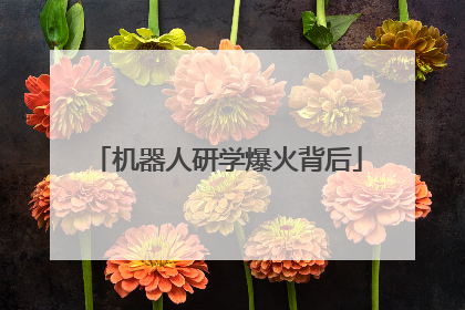 机器人研学爆火背后