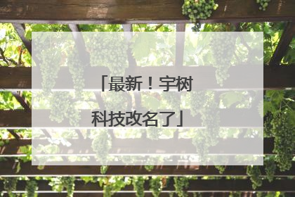 最新！宇树科技改名了