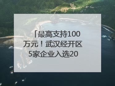 最高支持100万元！武汉经开区5家企业入选2025年度武汉市重点研发计划拟立项项目名单
