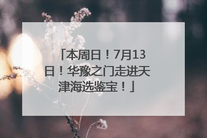 本周日！7月13日！华豫之门走进天津海选鉴宝！