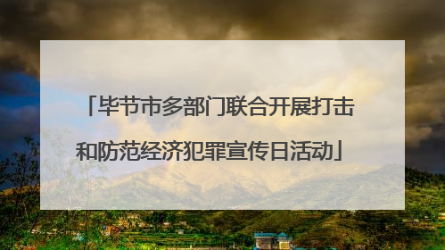 毕节市多部门联合开展打击和防范经济犯罪宣传日活动