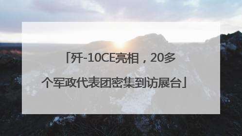 歼-10CE亮相，20多个军政代表团密集到访展台