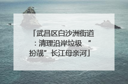 武昌区白沙洲街道：清理沿岸垃圾 “扮靓”长江母亲河