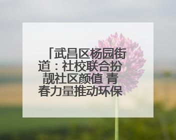 武昌区杨园街道：社校联合扮靓社区颜值 青春力量推动环保风尚
