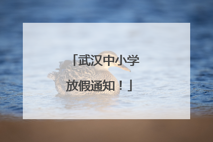 武汉中小学放假通知！