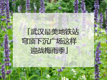 武汉最美地铁站穹顶下沉广场这样迎战梅雨季