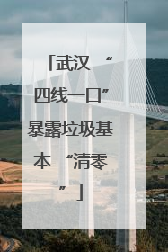 武汉 “四线一口”暴露垃圾基本 “清零”