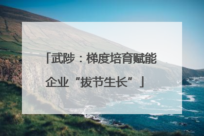 武陟：梯度培育赋能企业“拔节生长”